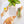 Vino Swedish Dishcloth - Reusable Sponge Cloth