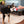 HugSmart Pet - Picnic Time | Backyard Picnic -  Plush Toy