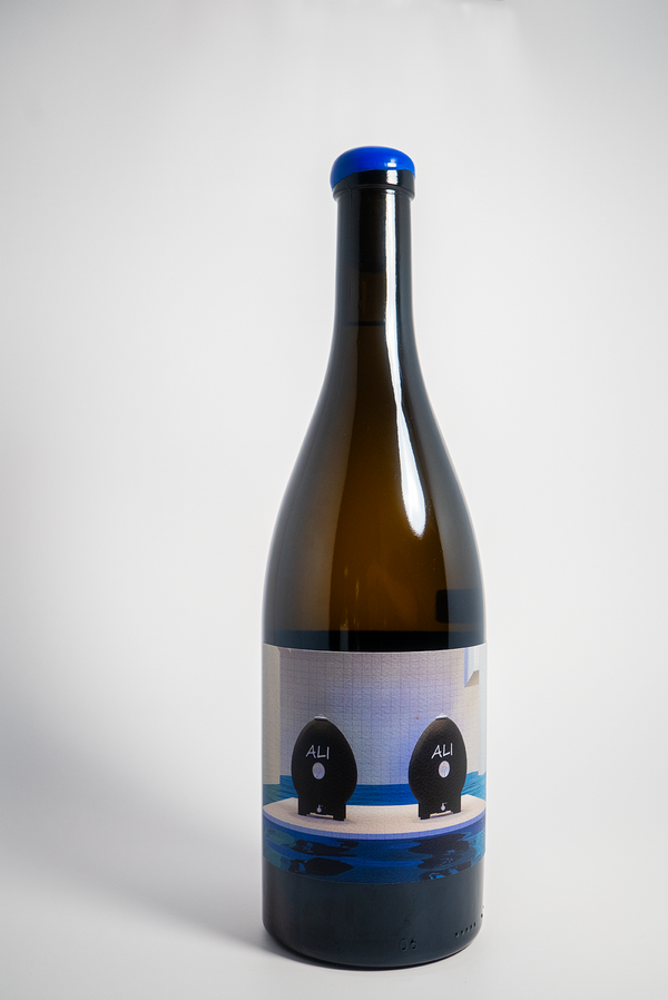 Swick Aligote Two Eggs Willamette Valley 2023