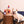 HugSmart Pet -Food Party  | Wine Barrel - Interactive Toy